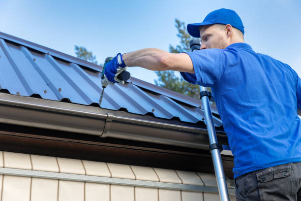 Best Roof Moss and Algae Removal  in Portsmouth, NH